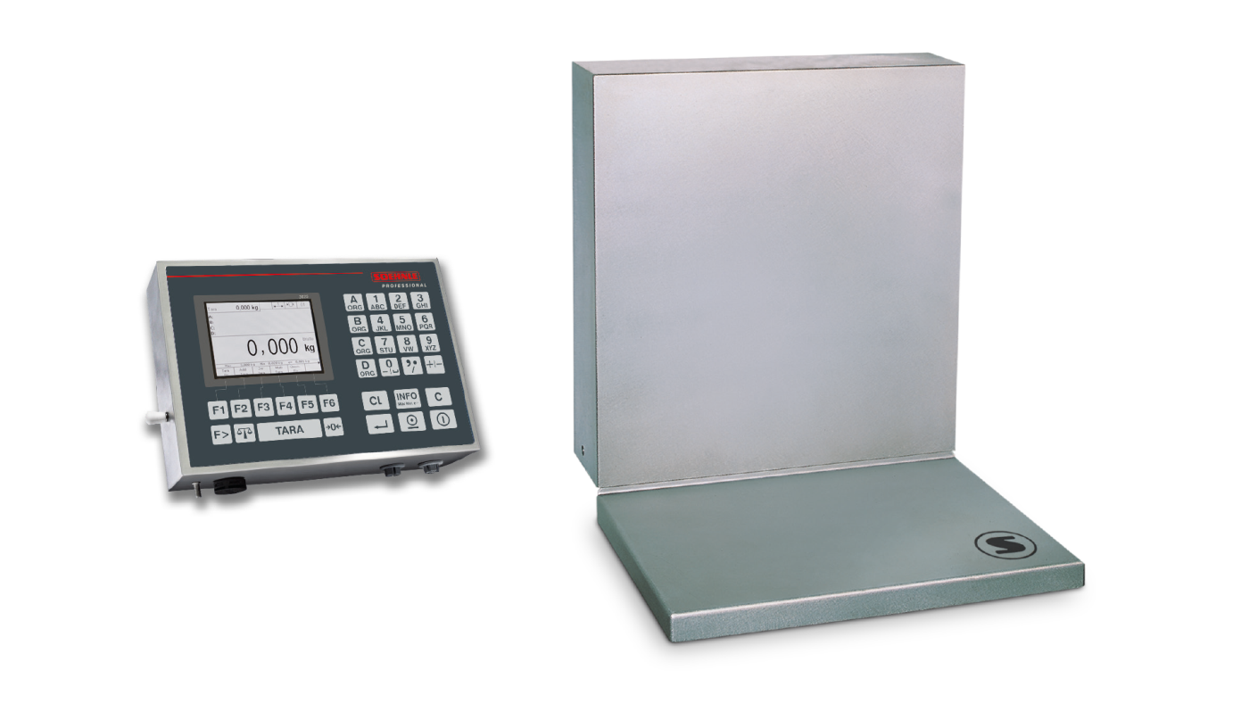 Geeicht lieferbare Wandwaage – Soehnle 7626.22.002 – Höchstlast 60 kg – Ablesbarkeit 20 g – Wägefläche 550 x 440 mm – Edelstahl
